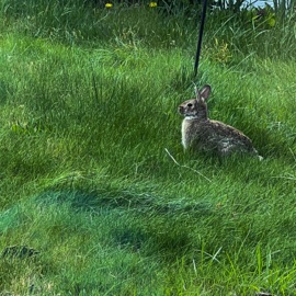 Just for now (Demo) Jodyy