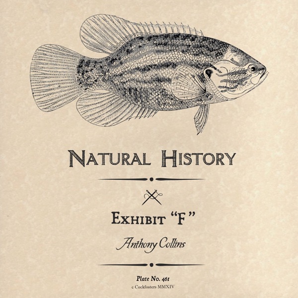 Exhibit "F" - Single