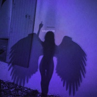 winged night - Single - mxde.kxilxv