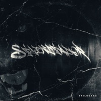 Señores Del Hardcore (feat. R de Nexo) - Single - Silenciador Dmg & Trilugang