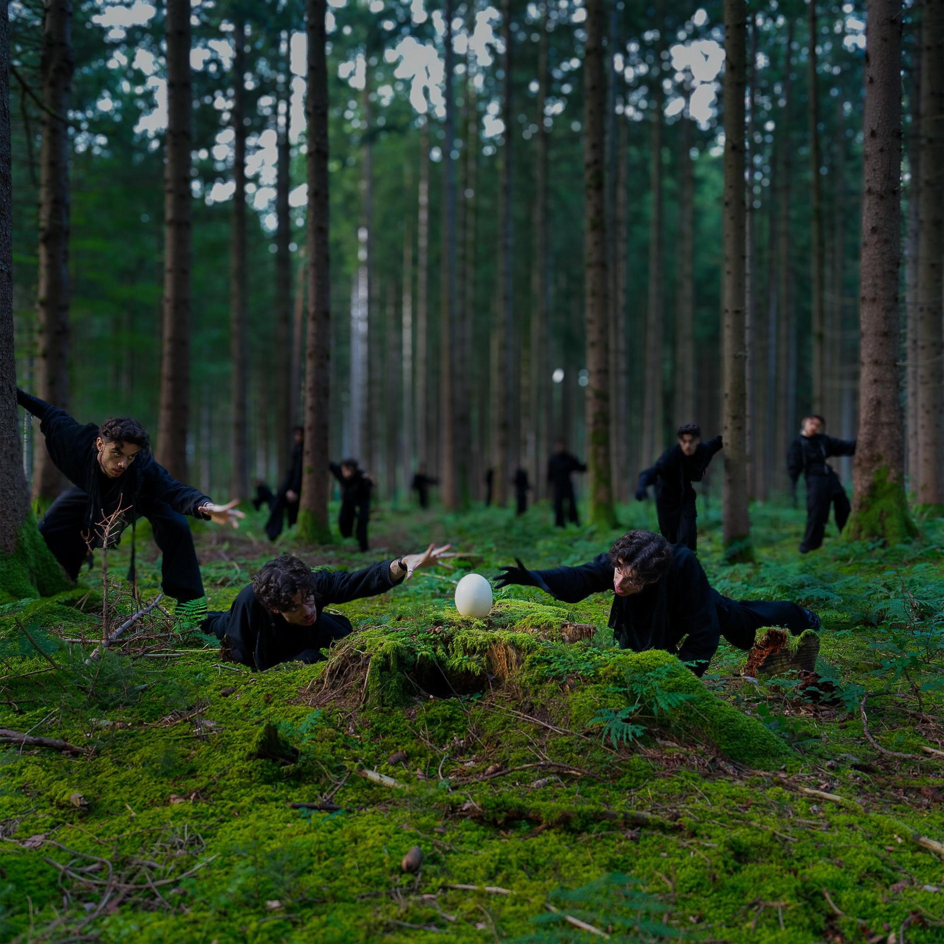 Ich sehe was, was du nicht siehst - Single