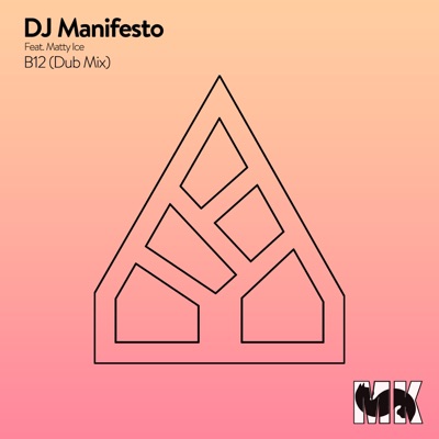 B12 (feat. Matty Ice) [Dub Mix] - Single