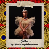 Filter (feat. DannyOnTheSaxophone) - Single - Shy Musiq