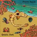 Epaulette Shark