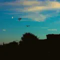 Kuş