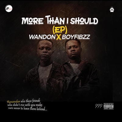 More Than I Should (feat. Boyfibzz) - EP