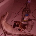Crocodile tears - Single