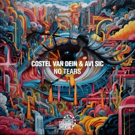 No Tears Costel Van Dein & Avi Sic