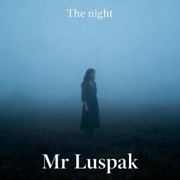 The night - Mr Luspak