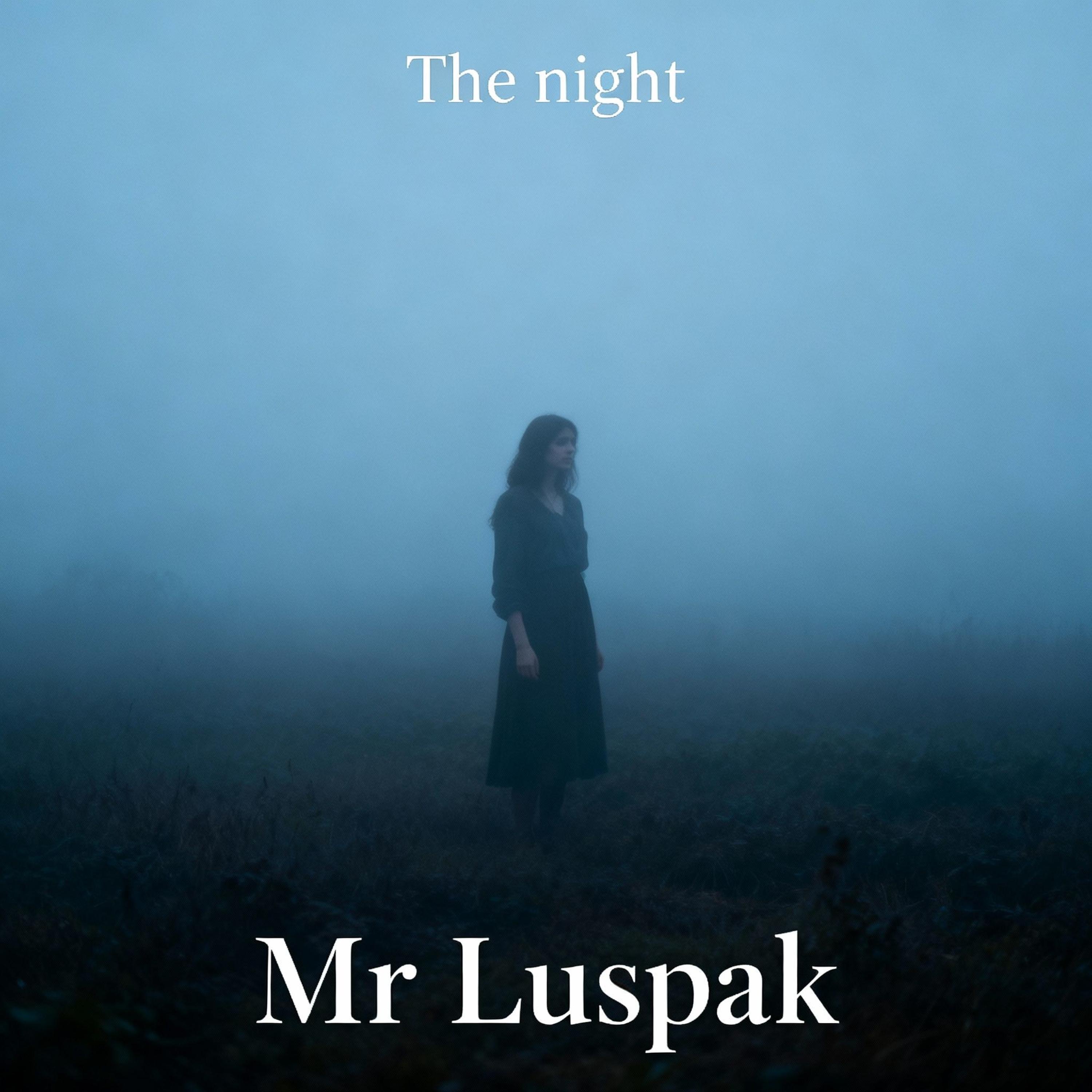 Mr Luspak - In the night