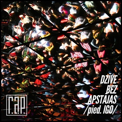 Dzīve bez apstājas (feat. IGO) - Single
