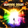 Burning Down - Single