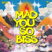 ความคิดถึงขั้นรุนแรง (mad you so biss) artwork