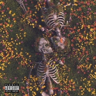 Juicy (feat. Webb Skully & GroveBaby) - Single