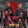 Spirit Aa - Single