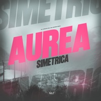 Aurea Simétrica - Single - DJ CARLIM 011 & MC Menor Geeh