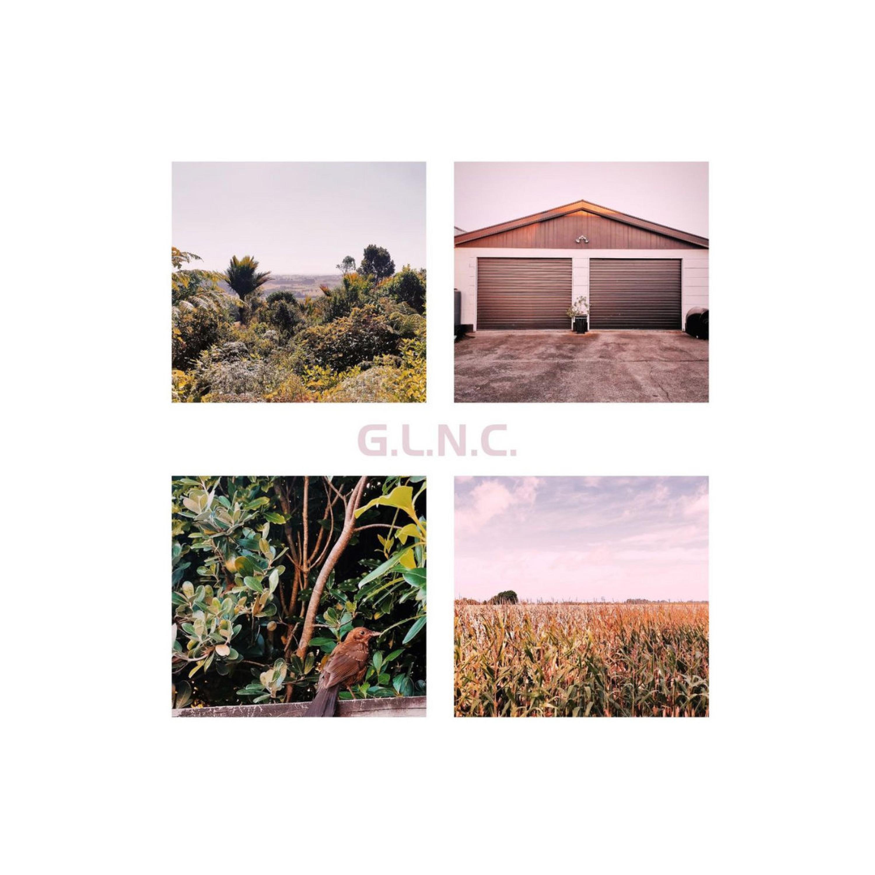 Te tau rua mano rua tekau mā whā