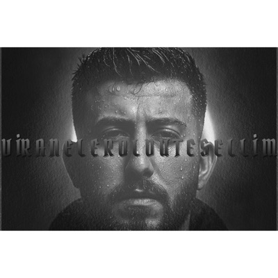 Viraneler Oldu Tesellim (feat. Zehredar) - Single