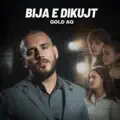 Bija e dikujt