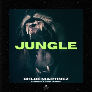Jungle (Extended & Intro Version) - Single