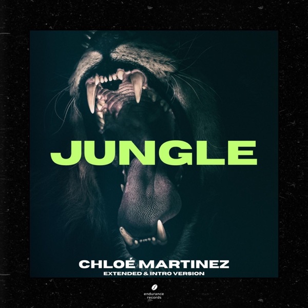 Jungle (Extended & Intro Version) - Single