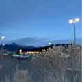 Albertson's Parking Lot
