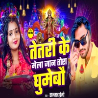 Tetri Ke Mela Jaan Tora Ghumebo - Single - Sajjad Premi