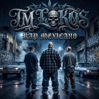 Entrenamiento (feat. Skire Loko, Bonsy, Tabernario, Perro Gamboa & Suizo) - Single - TM Lokos