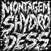 MONTAGEM SHYDRO DESS - Single - DJ VICK DA DZ7 & DJ CHURR1