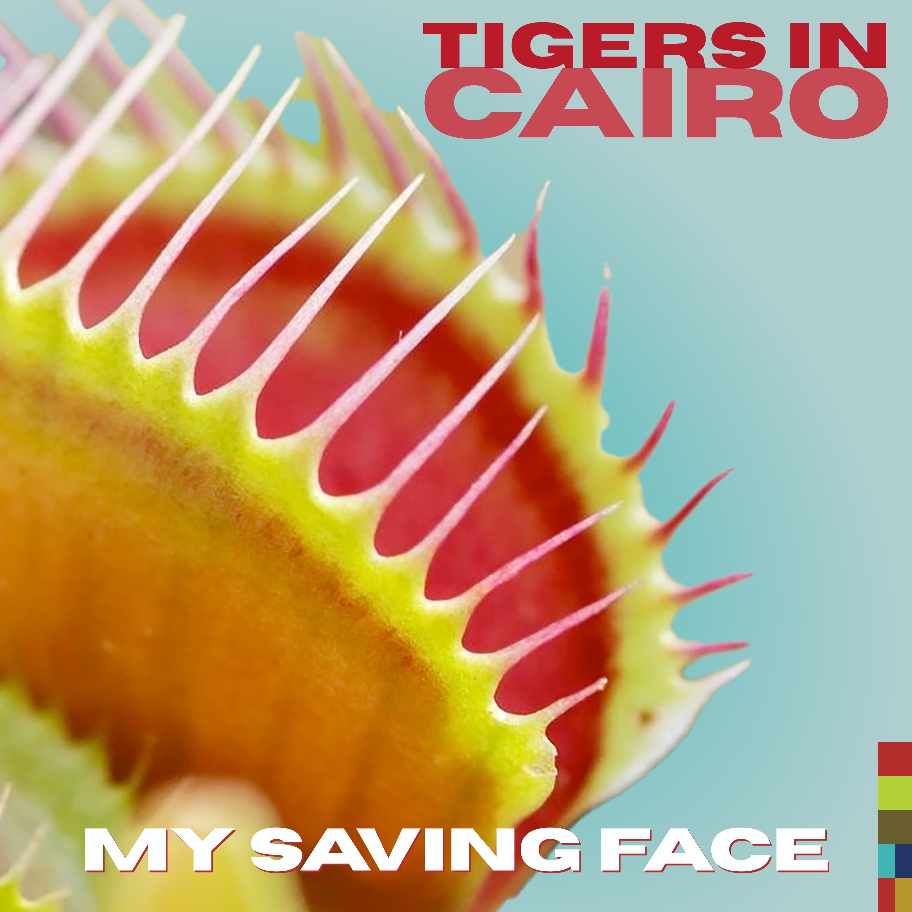 My Saving Face - Single