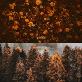 Seasons (Autumn) Dreweybear