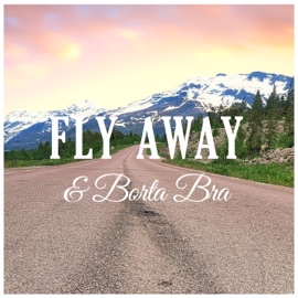 BORTA BRA (feat. Clint Hoffa & Den Lille Hotell) Duckfacekillah & Triple B