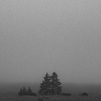 Nothing - Single - Hxvsfly