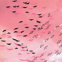 Psycho Acoustics - AbbotJackson