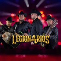 El Shampo (En Vivo) - Single - Grupo Legionarios