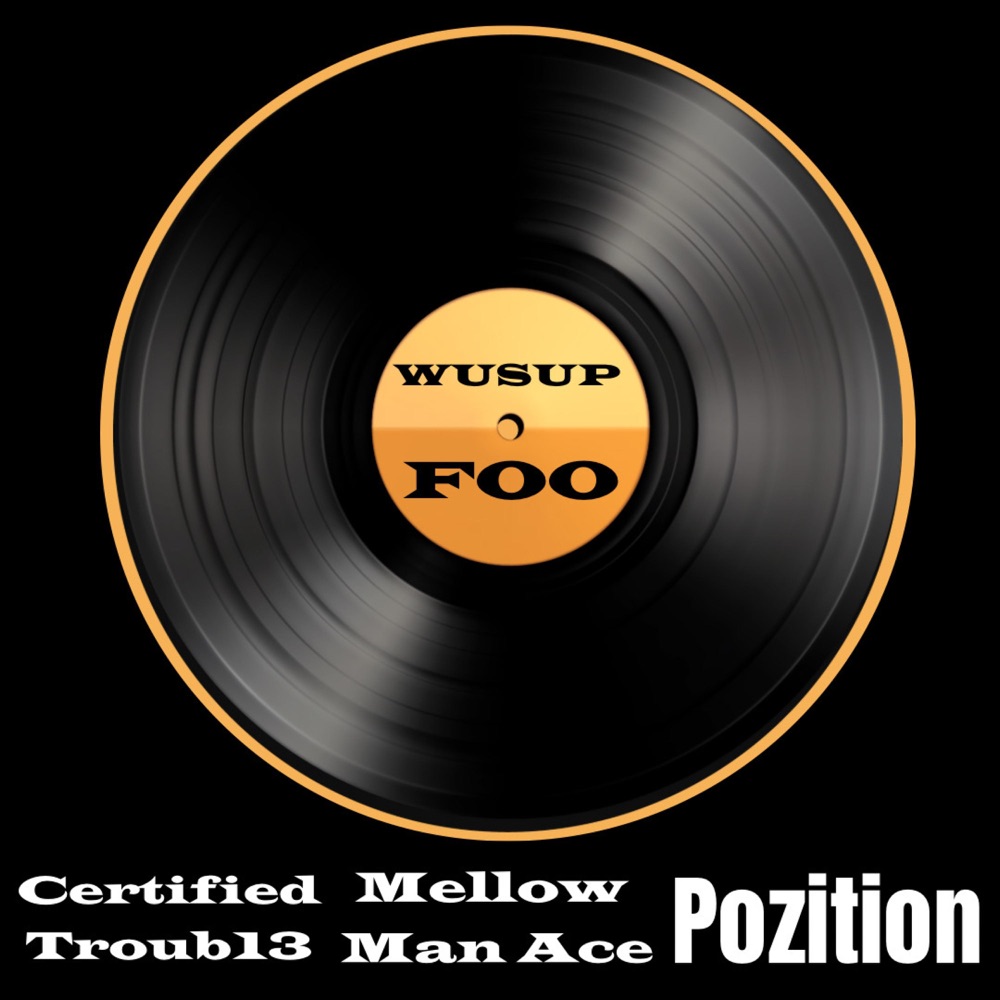 Обложка альбома «Wusup Foo (feat. Mellow Man Ace & Pozition) - Single» — Troub13