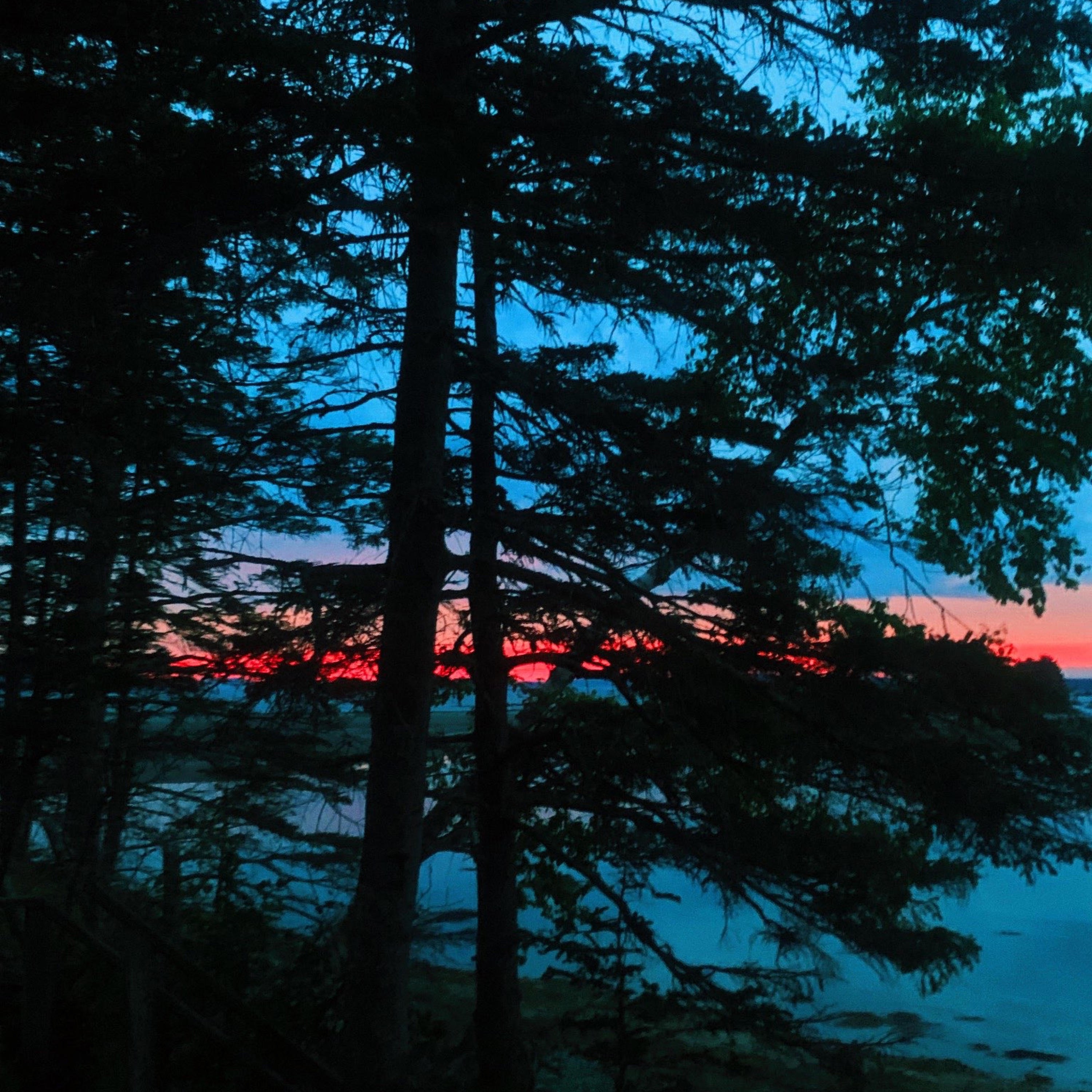 Summer Love - Single