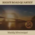 Muddy Mississippi