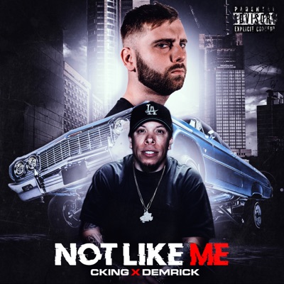 Not Like Me (feat. Demrick) - Single