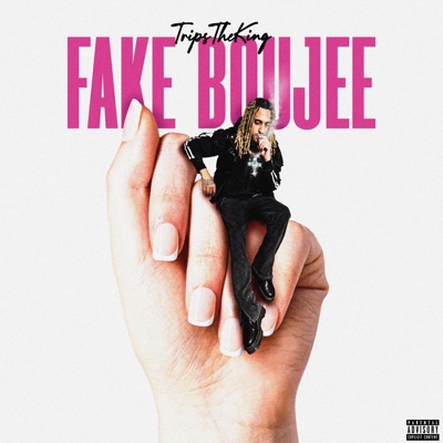 Fake Boujee - Single