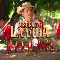 DISFRUTO LA VIDA
