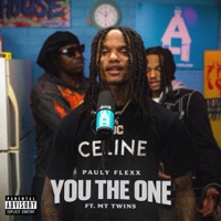 You The One (feat. MT Twins) [Remix] - Single - Pauly Flexx