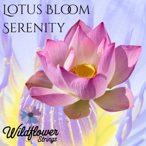 Lotus Bloom Serenity - EP