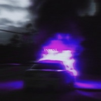 Insane (feat. FocusOnYou) - Single - Lana Volkov