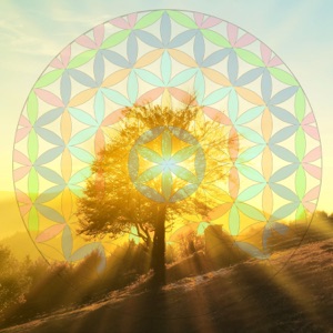Being Present (Sunshine Mix)