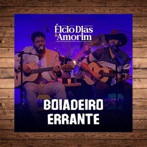 Boiadeiro Errante