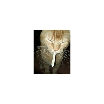 whiispers (feat. icemop & bblink) - Single