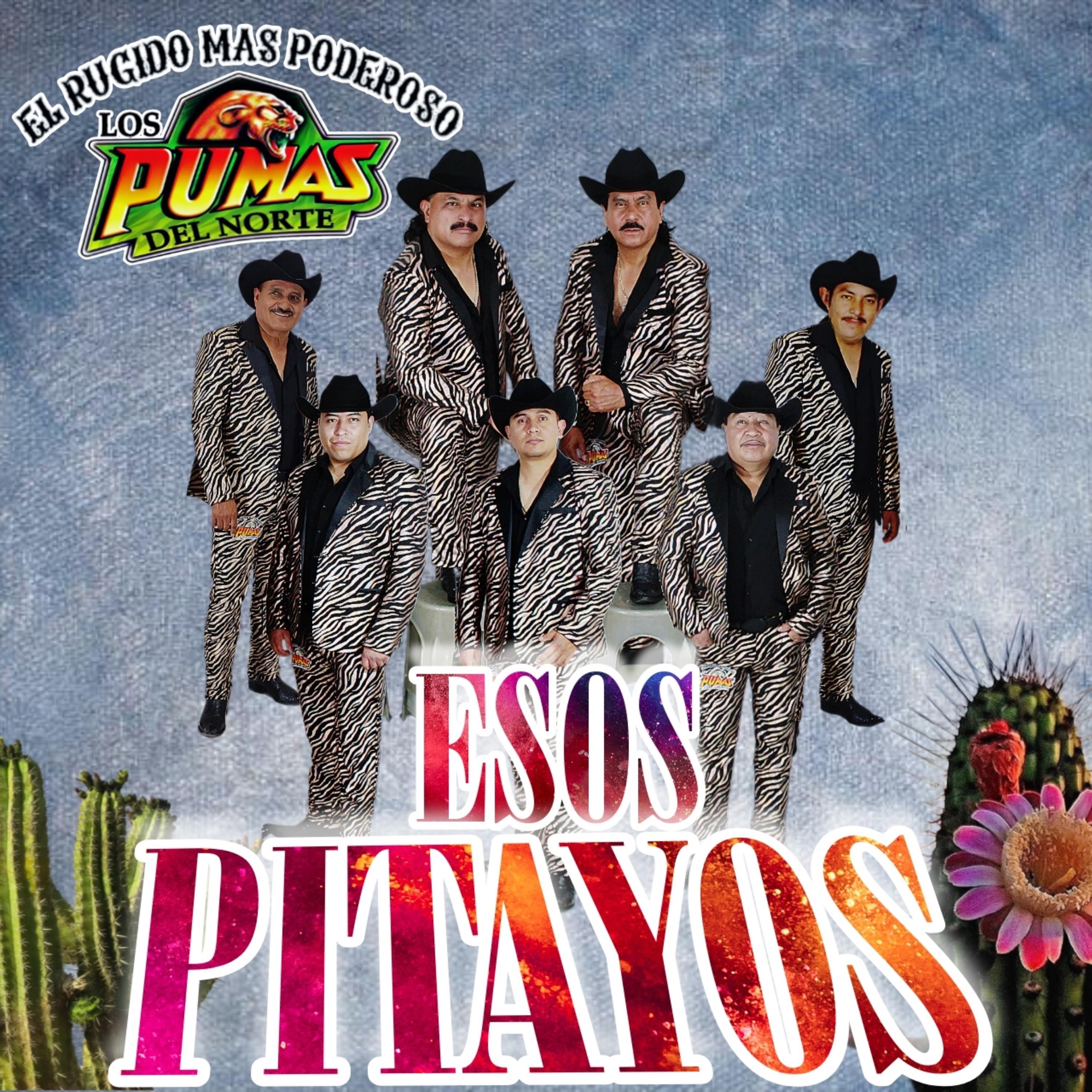 Esos Pitayos - Single