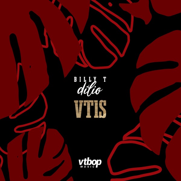 Dilio — VT1S