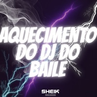 Aquecimento do Dj do Baile - Single - Baile do Sheik & Thejott4